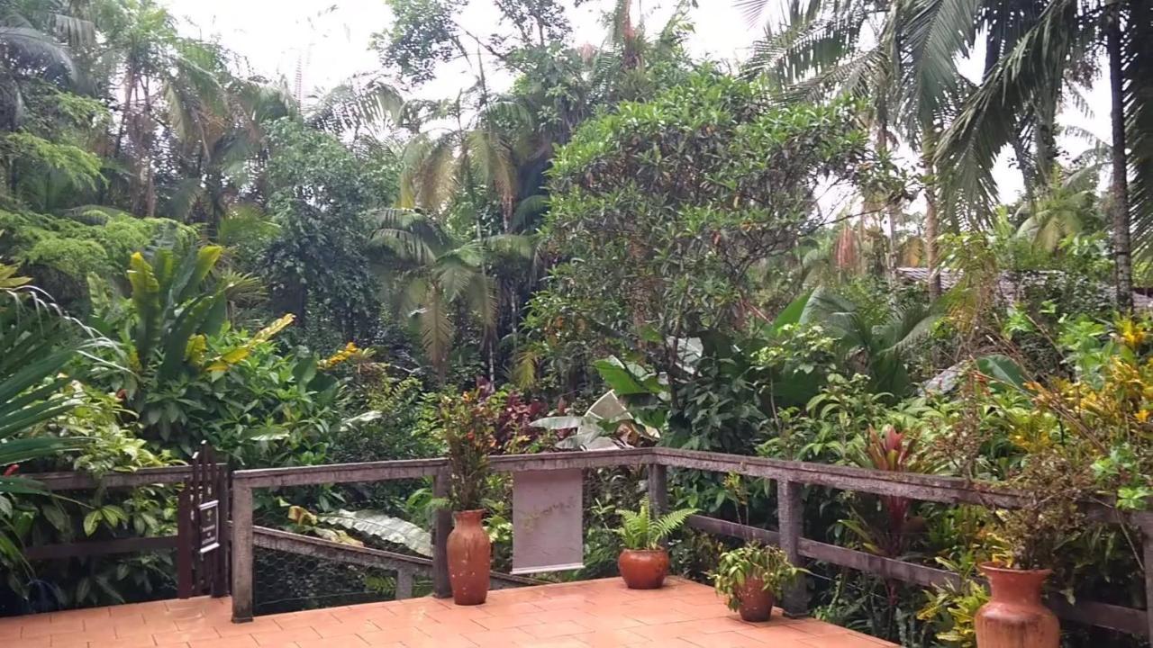 Pousada Do Oasis Morretes Eksteriør bilde