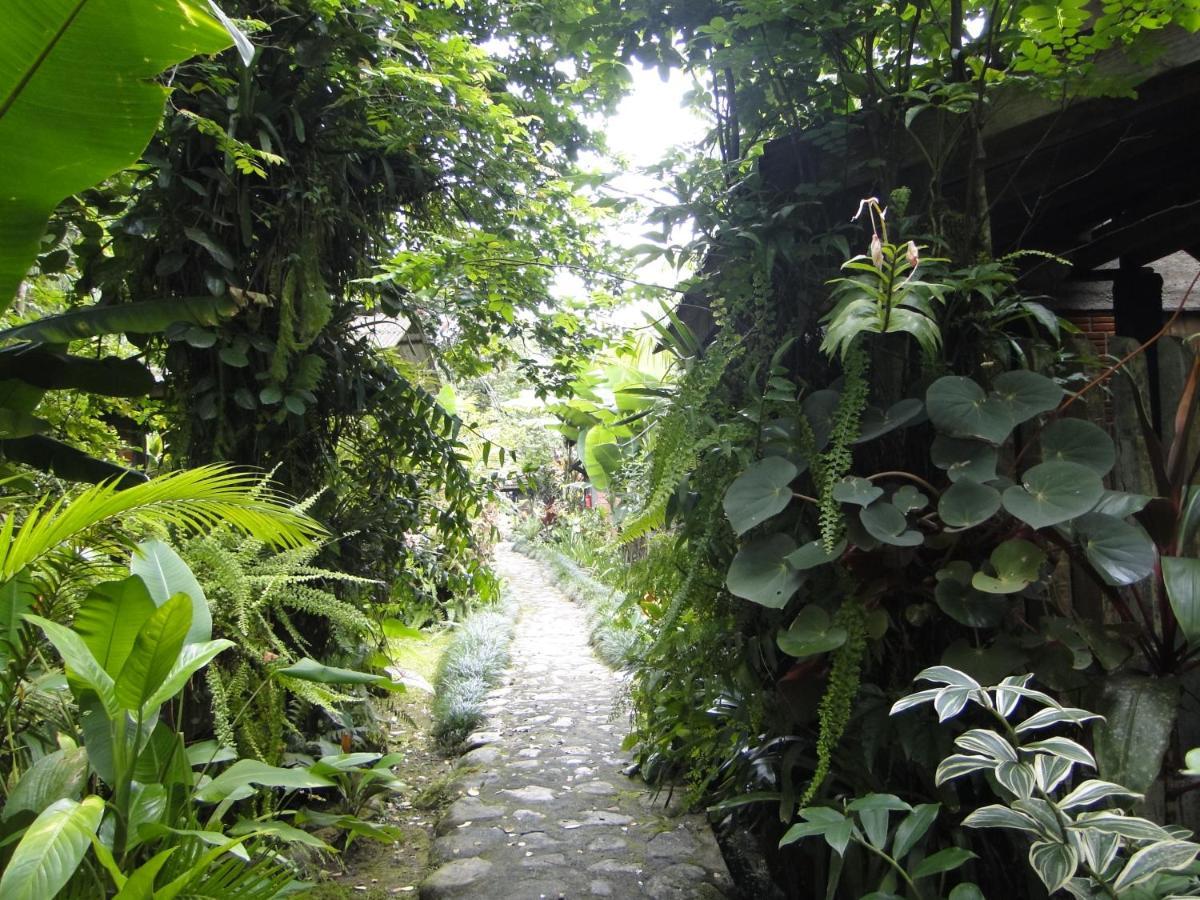 Pousada Do Oasis Morretes Eksteriør bilde