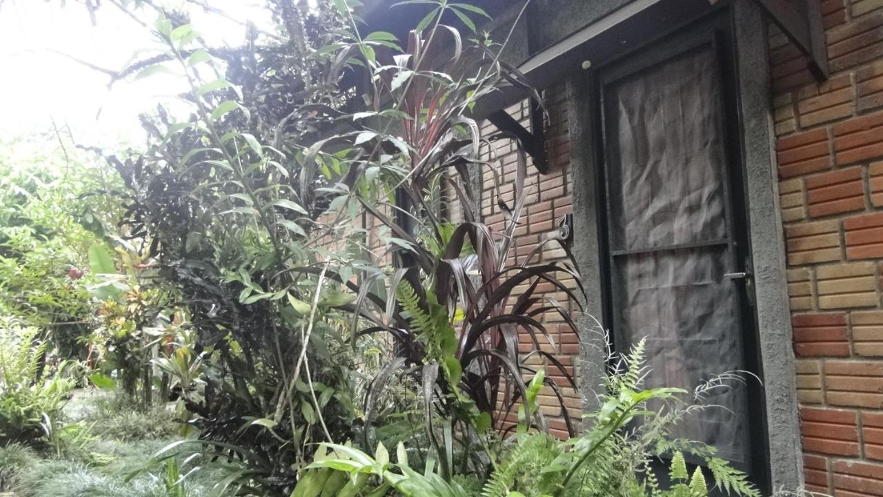 Pousada Do Oasis Morretes Eksteriør bilde