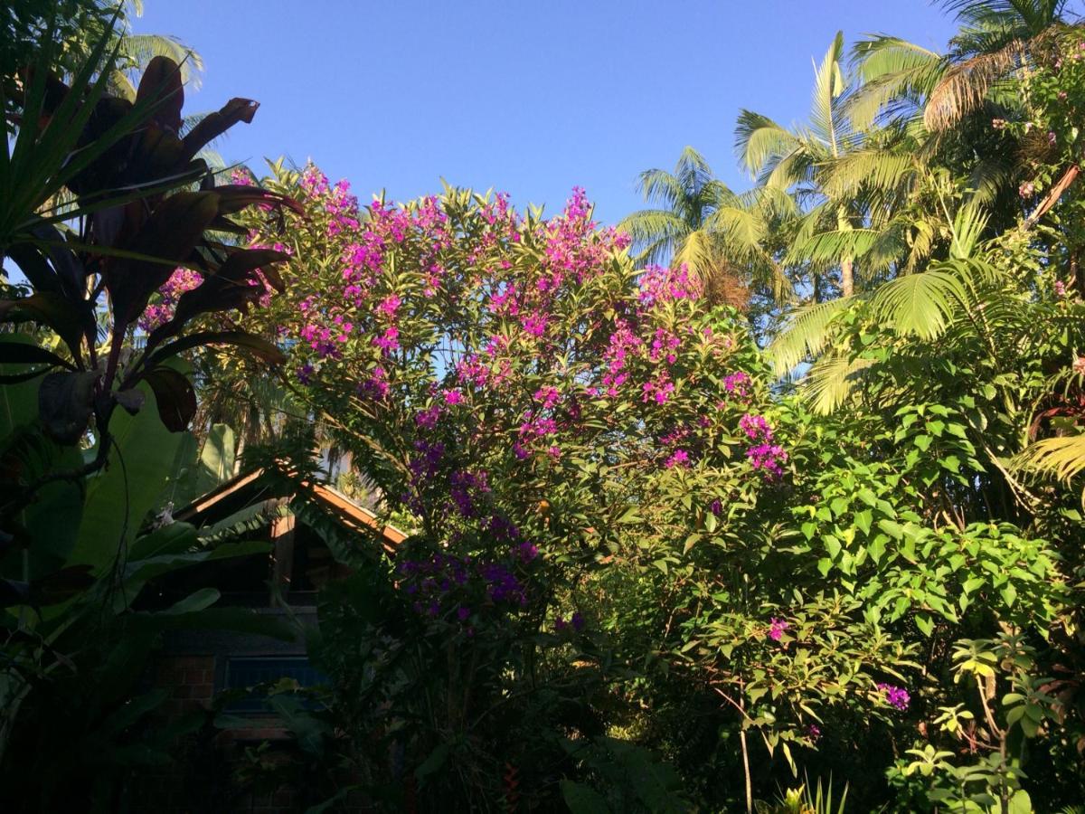 Pousada Do Oasis Morretes Eksteriør bilde