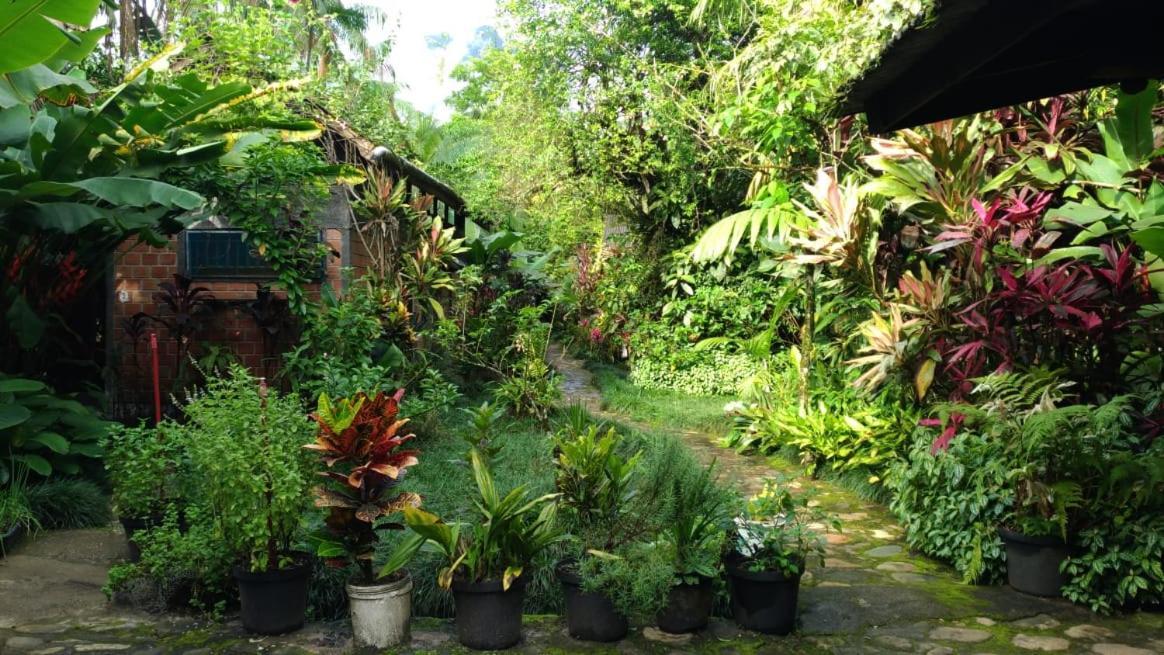 Pousada Do Oasis Morretes Eksteriør bilde