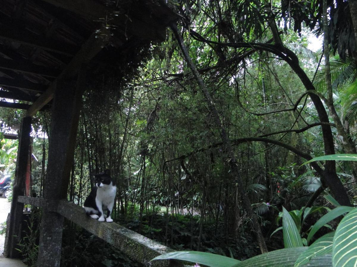 Pousada Do Oasis Morretes Eksteriør bilde